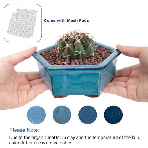 Top 5 Best Glazed Bonsai Pot