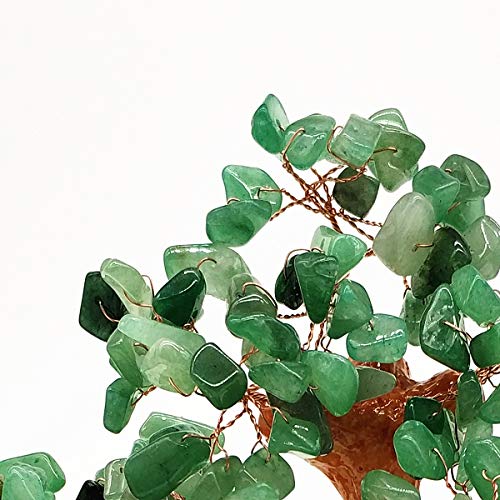 Feng Shui Bonsai Money Tree Lively Root