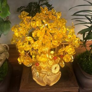 Best Bonsai Money Tree Yellow Leaves