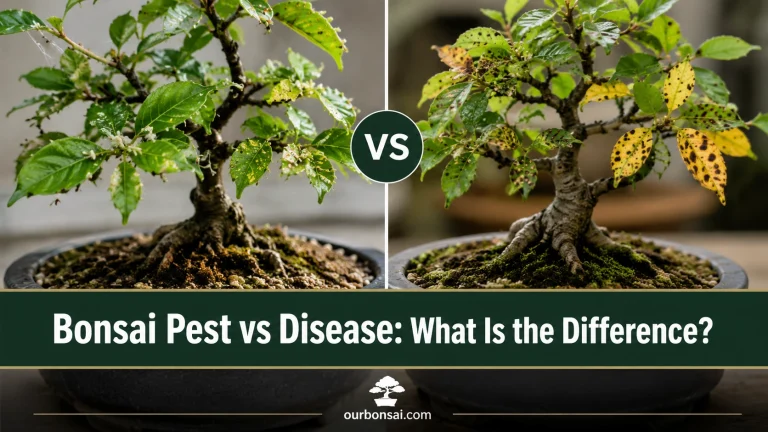 Bonsai Pest vs Disease What Is the Difference