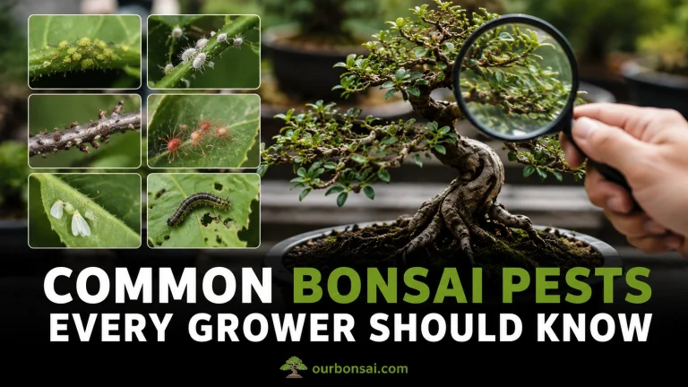 Common Bonsai Pests Every Grower Should Know