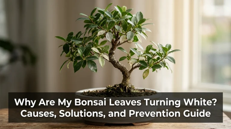Why Are My Bonsai Leaves Turning White Causes, Solutions, and Prevention Guide