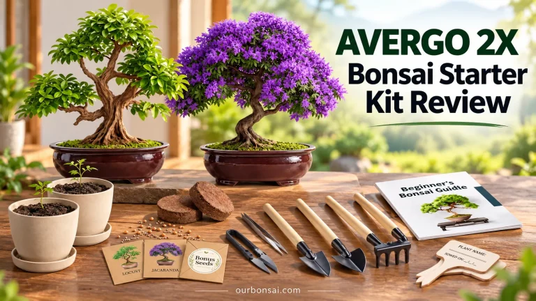 AVERGO 2X Bonsai Starter Kit Review
