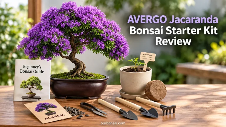AVERGO Jacaranda Bonsai Starter Kit Review