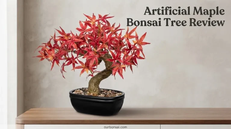 Artificial Maple Bonsai Tree Review