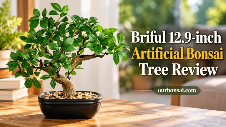 Briful 12.9-inch Artificial Bonsai Tree Review