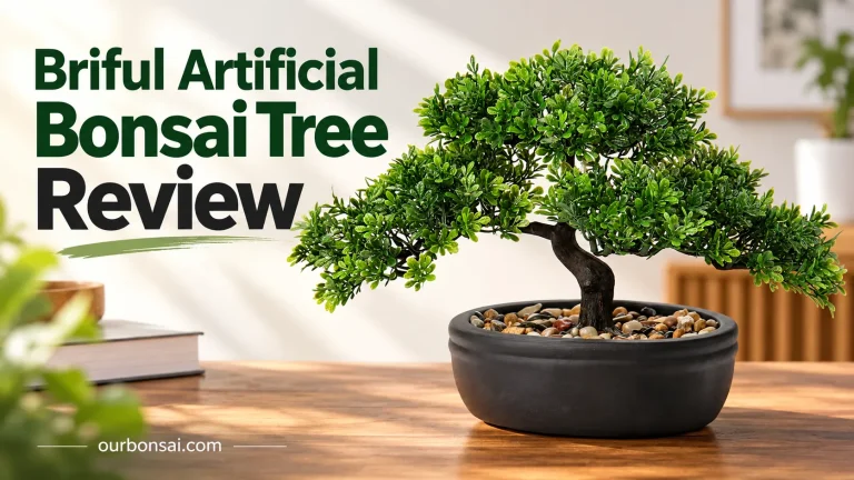 Briful Artificial Bonsai Tree Review