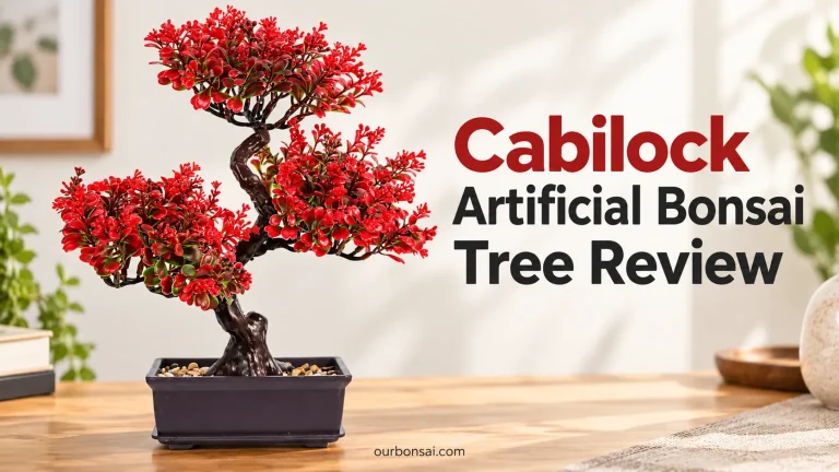 Cabilock Artificial Bonsai Tree Review