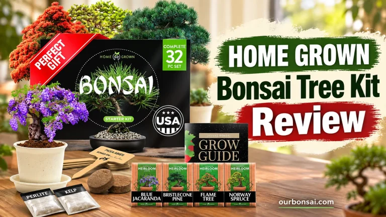 HOME GROWN Bonsai Tree Kit Review