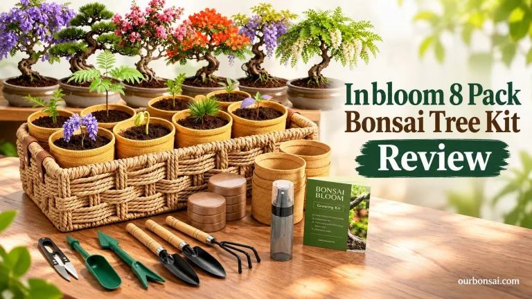Inbloom 8 Pack Bonsai Tree Kit Review