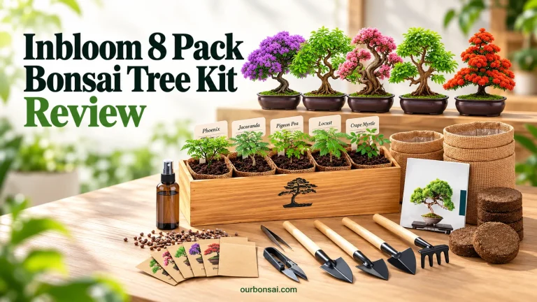 Inbloom 8 Pack Bonsai Tree Kit Review