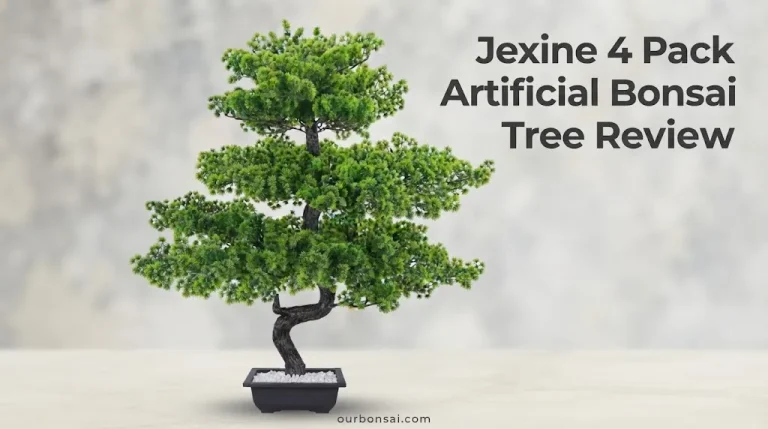 Jexine 4 Pack Artificial Bonsai Tree Review
