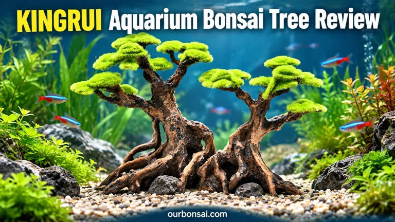 KINGRUI Aquarium Bonsai Tree Review