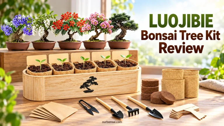 LUOJIBIE Bonsai Tree Kit Review
