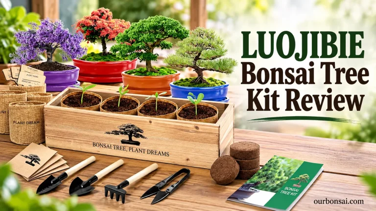 LUOJIBIE Bonsai Tree Kit Review