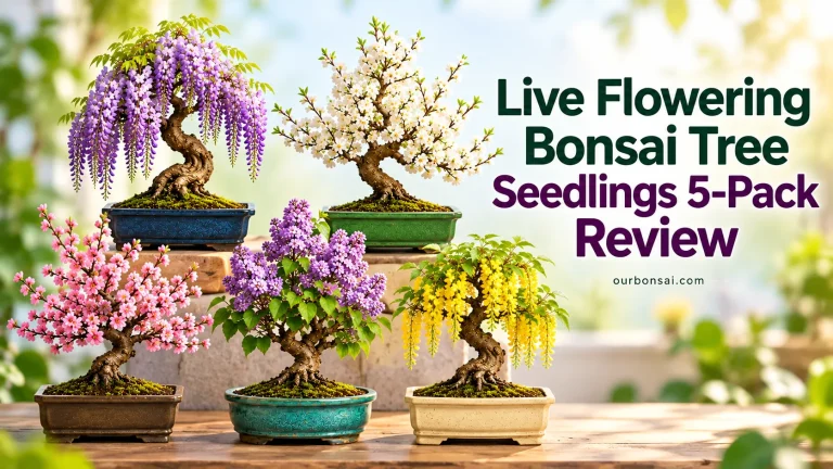 Live Flowering Bonsai Tree Seedlings 5-Pack Review