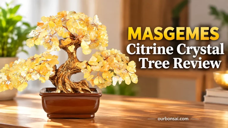 MASGEMES Citrine Crystal Tree Review