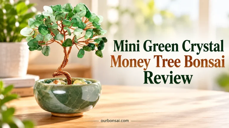 Mini Green Crystal Money Tree Bonsai Review