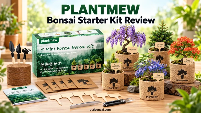PLANTMEW Bonsai Starter Kit Review