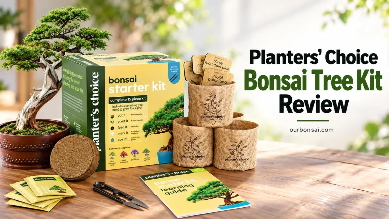 Planters' Choice Bonsai Tree Kit Review