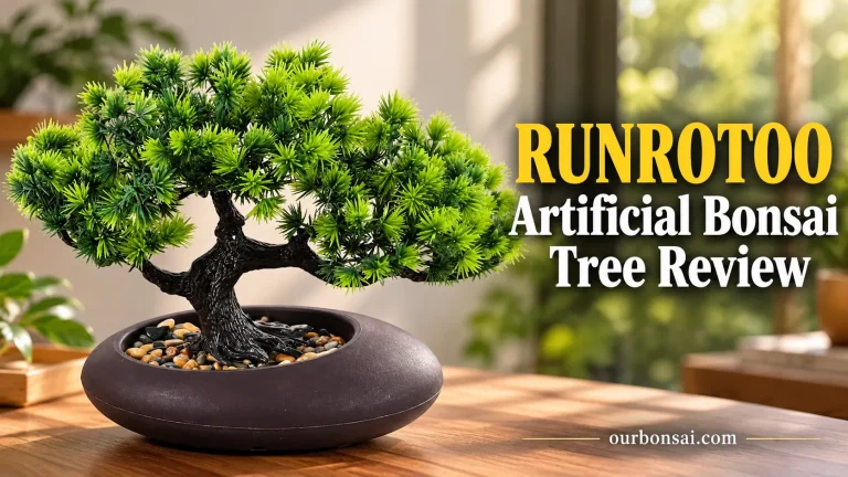 RUNROTOO Artificial Bonsai Tree Review