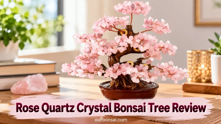 Rose Quartz Crystal Bonsai Tree Review