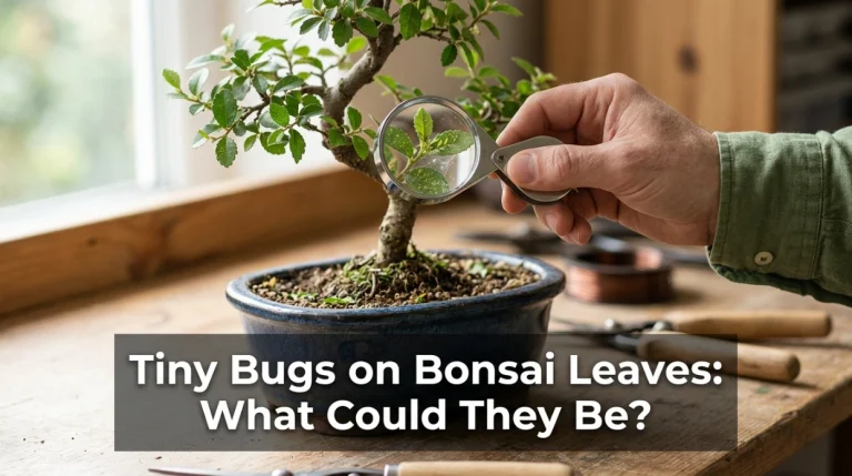 Tiny Bugs on Bonsai Leaves
