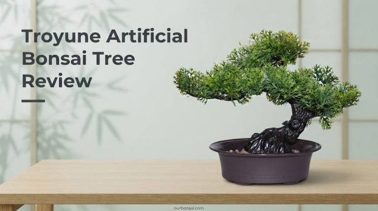 Troyune Artificial Bonsai Tree Review
