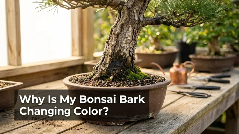 Why Is My Bonsai Bark Changing Color