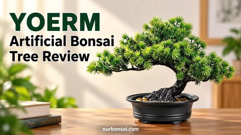 YOERM Artificial Bonsai Tree Review