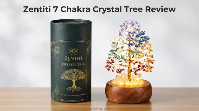 Zentiti 7 Chakra Crystal Tree Review