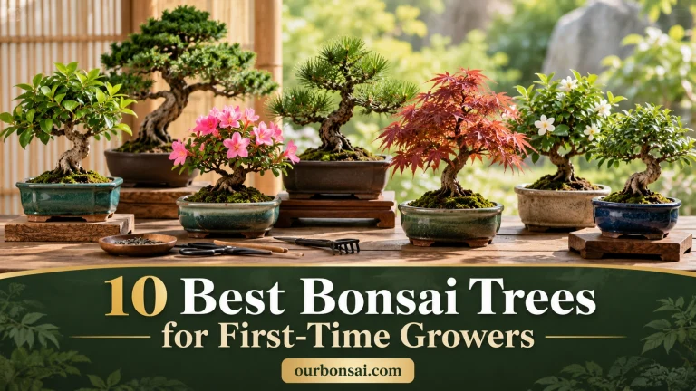 best bonsai trees for first-time growers
