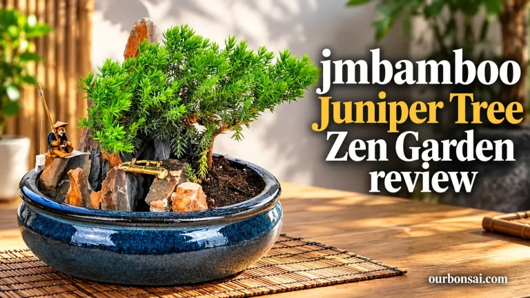 jmbamboo Juniper Tree Zen Garden Review