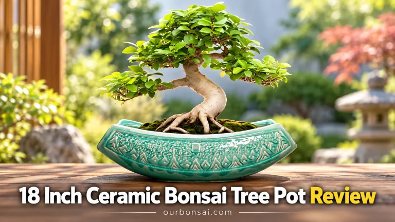 18 Inch Ceramic Bonsai Tree Pot Review