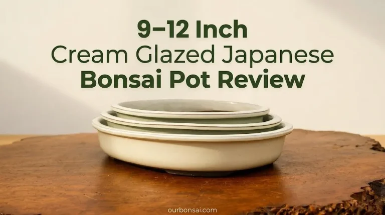 9–12 Inch Cream Glazed Japanese Bonsai Pot Review