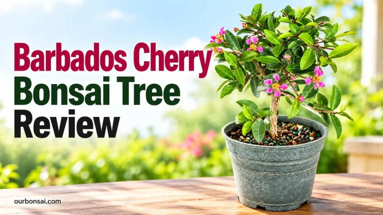 Barbados Cherry Bonsai Tree Review