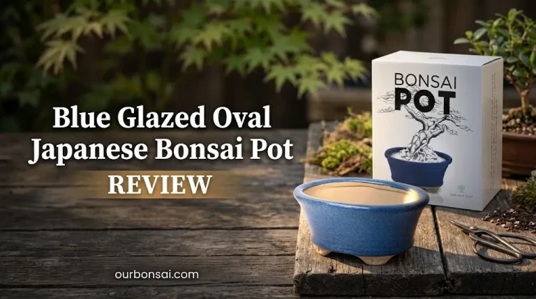 Blue Glazed Oval Japanese Bonsai Pot Review