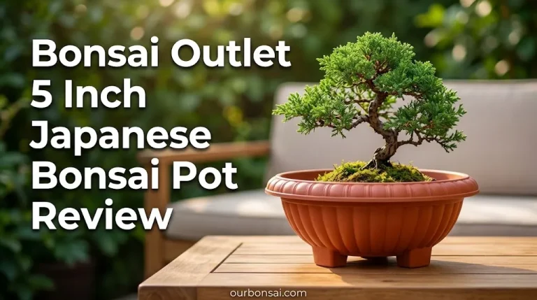 Bonsai Outlet 5 Inch Japanese Bonsai Pot Review