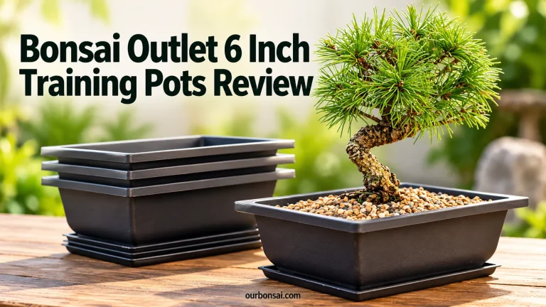 Bonsai Outlet 6 Inch Training Pots Review