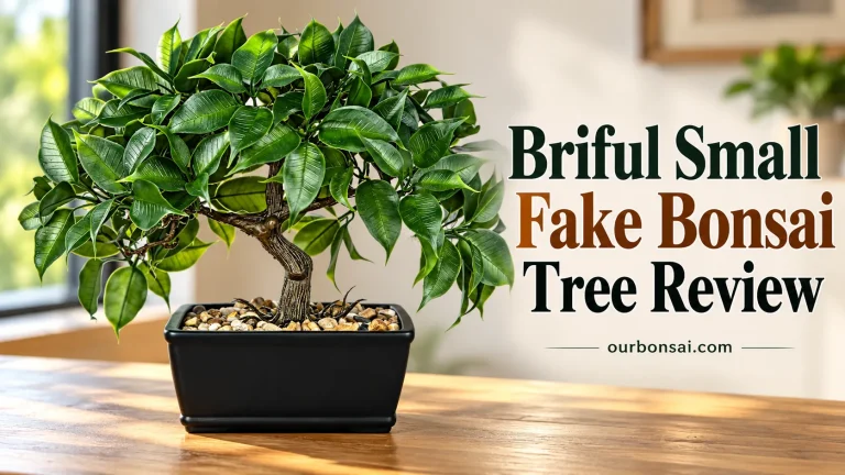 Briful Small Fake Bonsai Tree Review
