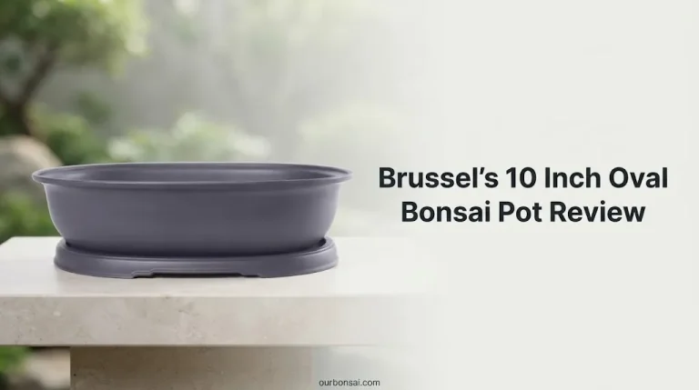 Brussel's 10 Inch Oval Bonsai Pot Review