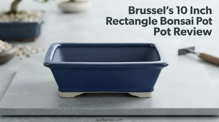 Brussel's 10 Inch Rectangle Bonsai Pot Review