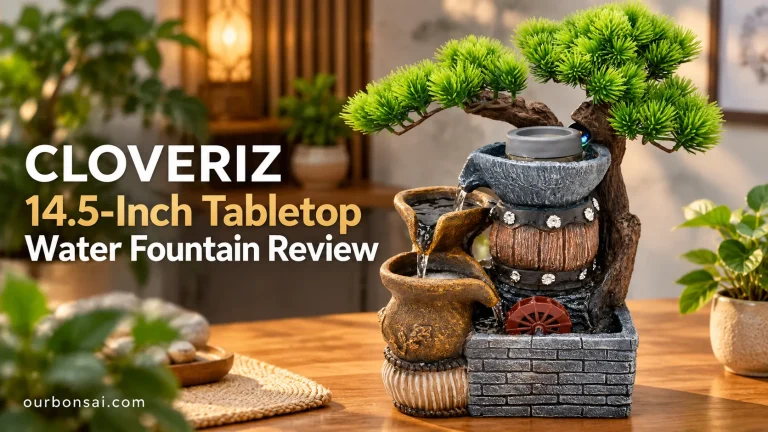 CLOVERIZ 14.5-Inch Tabletop Water Fountain Review