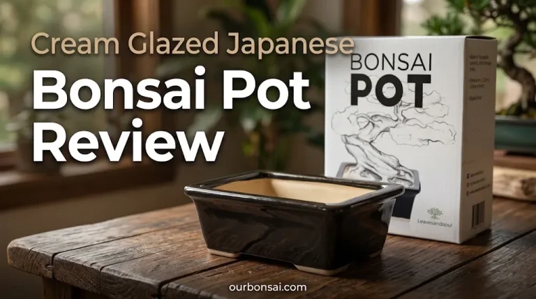 Cream Glazed Japanese Bonsai Pot Review