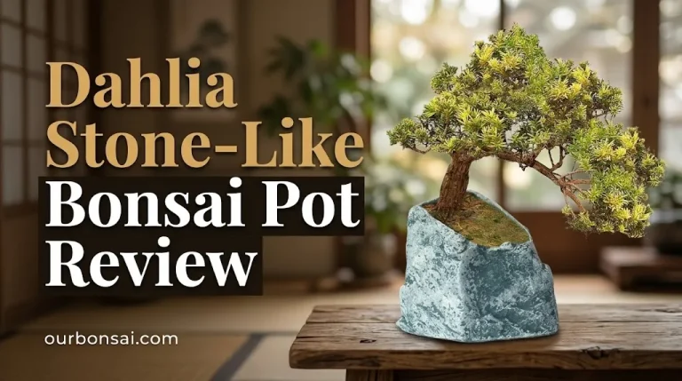 Dahlia Stone-Like Bonsai Pot Review