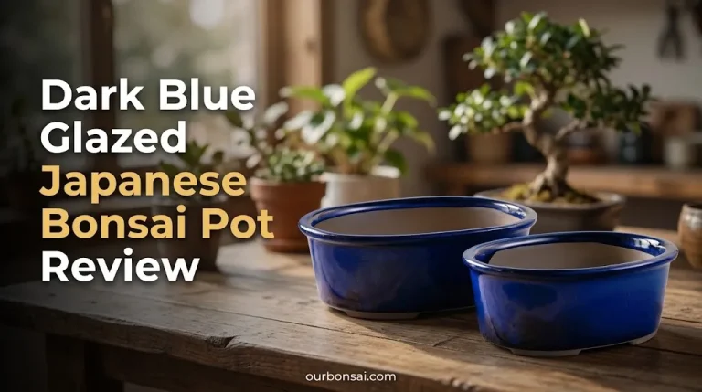 Dark Blue Glazed Japanese Bonsai Pot Review