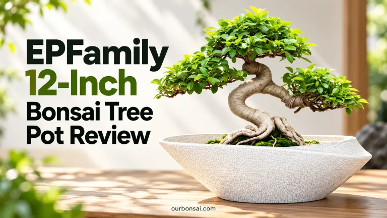 EPFamily 12-Inch Bonsai Tree Pot Review