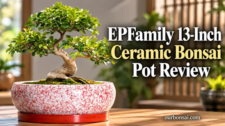 EPFamily 13-Inch Ceramic Bonsai Pot Review