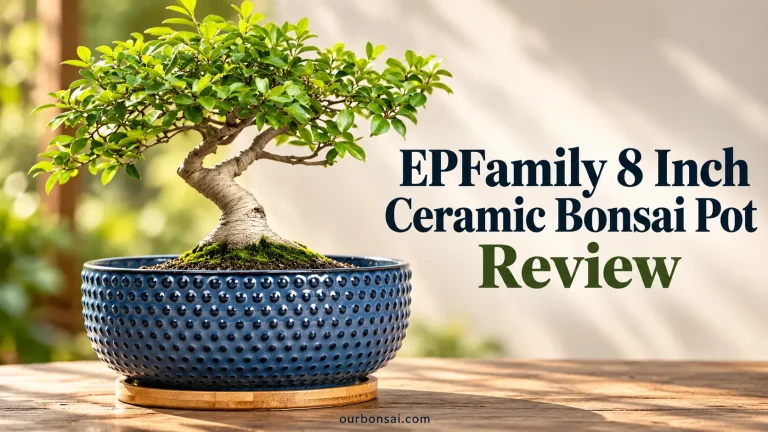 EPFamily 8 Inch Ceramic Bonsai Pot Review