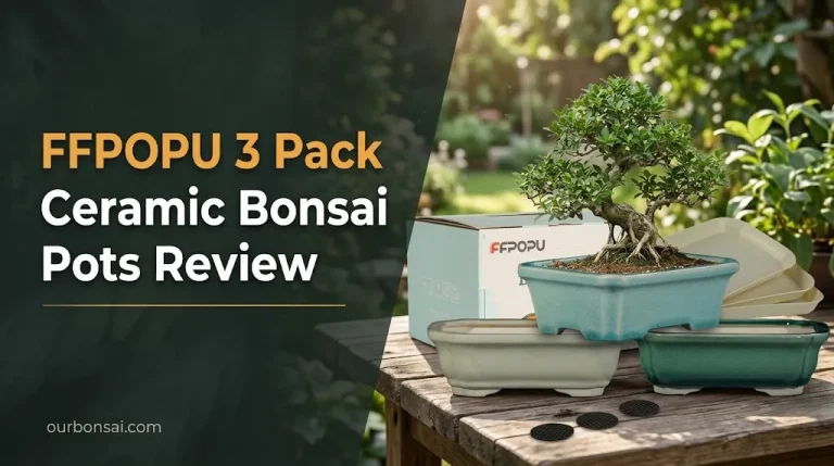 FFPOPU 3 Pack Ceramic Bonsai Pots Review